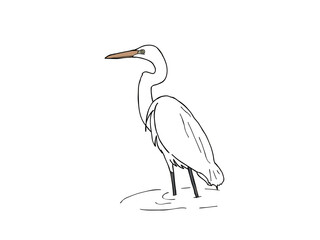 シラサギ　県鳥（徳島県）
