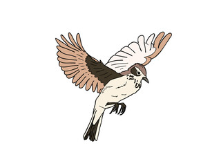 Naklejka premium ヒバリ 県鳥（熊本県）