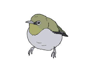 メジロ　県鳥（大分県）