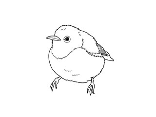 メジロ　県鳥（大分県）モノクロ		