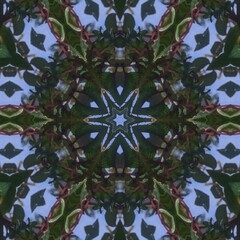 Green and red flowers background