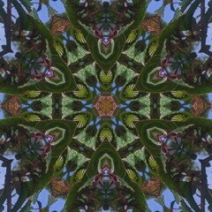 Green and red flowers background