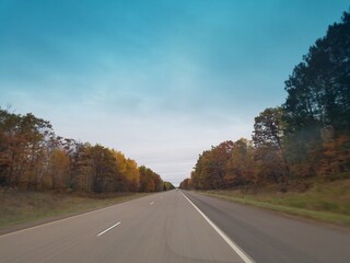 Fototapeta premium road in autumn forest