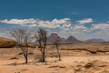 Fototapeta na wymiar landscape at the Spitzkoppe rock formation, Namibia