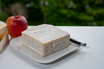 French squared pont l'eveque cow cheese from Calvados department served with apple and view on old houses of Etretat, Normandy, France
