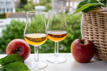 Tasting of strong alcoholic drink calvados made from apples in Normandy, Calvados region, France