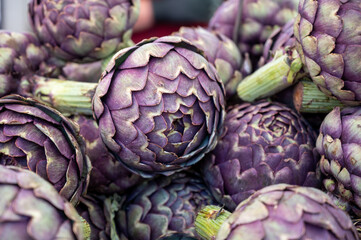 Obraz premium Big purple globe artichokes heads on farmers market in Brittany, France