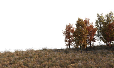 Grass & Forest In the fall with a white background and clipping path.