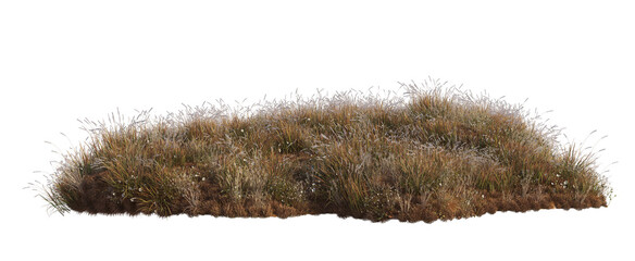 Grass & Forest In the fall with a white background and clipping path.