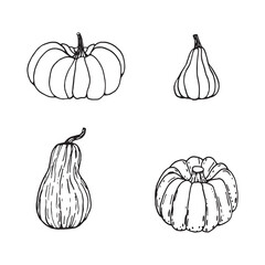 Hand drawn black and white set of pumpkins. Cartoon outline of vegetables in doodle style. Symbol of autumn harvest and Halloween.