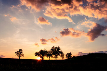 Fototapeta na wymiar Sonnenuntergang in Österreich, als Silhouette von Bäumen