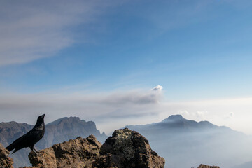 Der Rabe und die Eruption