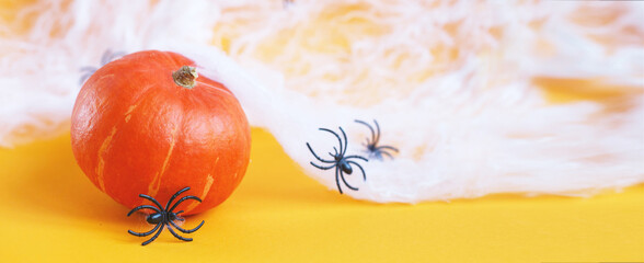 Halloween pumpkin with spider web and black spiders on orange background.
