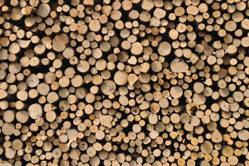 heap of wooden logs background