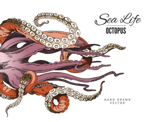 Seafood octopus banner or menu card design hand drawn vector illustration.