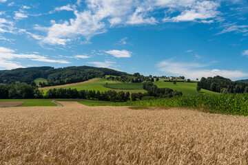 Fototapeta na wymiar Beautiful austrian highlands voralpen landscape in summer