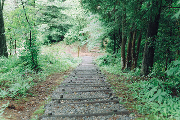 Obraz premium 石川県七尾市の公園を散歩する風景 Scenery of a walk in a park in Nanao City, Ishikawa Prefecture