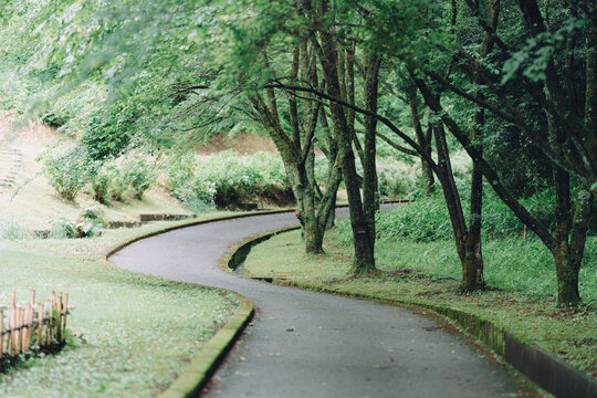 石川県七尾市の公園を散歩する風景 Scenery of a walk in a park in Nanao City, Ishikawa Prefecture