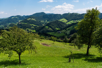 Fototapeta na wymiar Lower Austria highlands landscape in summer, beautiful forests, meadows, farms, blue sky and puffy white clouds