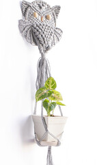 Owl macrame plant holder hanging on the white background