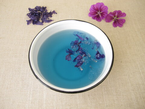 Blue dye bath with mallow flowers, blue plant color