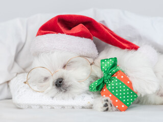 Cute Lapdog puppy wearing red santa hat sleeps and hugs gift box under white blanket at home. Top...