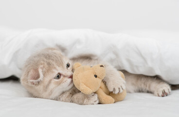 Fototapeta na wymiar Cute tiny kitten hugs favorite toy bear under white warm blanket on a bed at home
