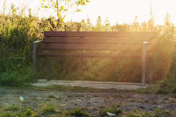 Brown bench in a park and warm glow of early sun. Sun flare. Nobody.