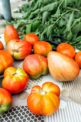 Fresh organic tomatoes on table