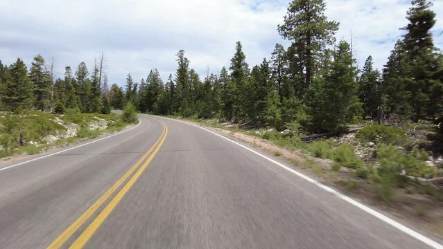 Driving Plate Bryce Canyon Scenic Drive Northbound Multicam Set 18 Front View Forest Utah Southwest USA