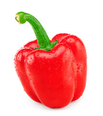 one red sweet bell pepper isolated on white background. clipping path