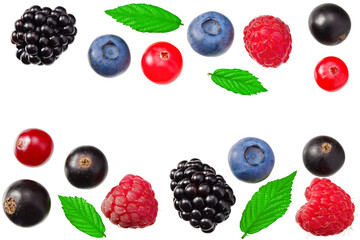 mix of blueberry, blackberry, cranberry, raspberry with leaves isolated on white background. top view. clipping path