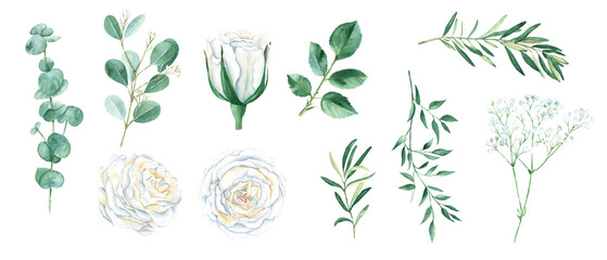 Watercolour floral set isolated on white background. White rosese and green leaves and twigs for bouquets, wreaths, wedding, anniversary, birthday cards design.