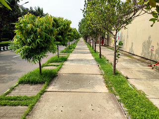 Fototapeta premium path in the garden