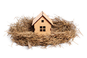 House in a nest of hay