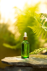 cosmetic products green glass bottles with oil on the roots of the tree against the background with...