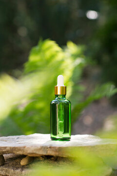 cosmetic products green glass bottles with oil on the roots of the tree against the background with fern. eco-friendly natural product