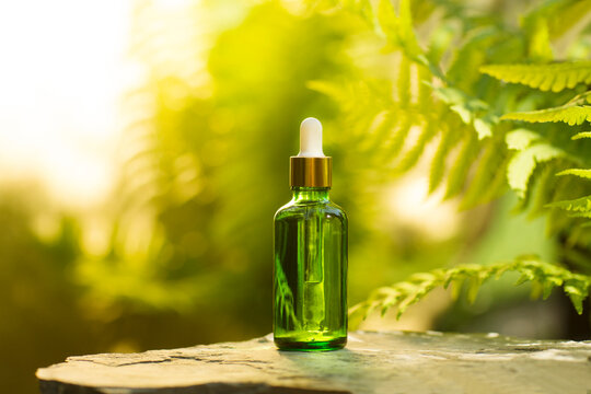 cosmetic products green glass bottles with oil on the roots of the tree against the background with fern. eco-friendly natural product