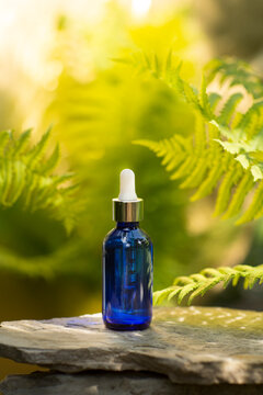 cosmetic products  blue glass bottles with oil on the roots of the tree against the background with fern. eco-friendly natural product