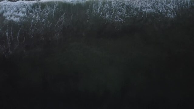 Receding back into the dark ocean while waves rush by.