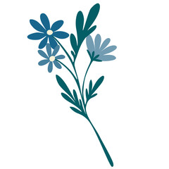 Twig with flowers. Daisies, wildflowers. Botanical illustration for decor, wedding, postcards and printing. Vector cartoon illustration isolated on the white background.