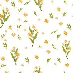 Floral Seamless Pattern. Botanical background with daisies and wildflowers. Perfect  for textiles, scrapbooking, clothing, wallpaper and prints. Vector cartoon illustration