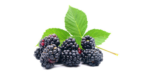 Blackberries - blackberries and blackberry leaves on a white background - obrazy, fototapety, plakaty