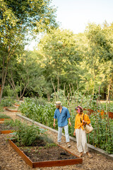 Man and woman at vegetable garden on sunset, wide view on farmland. Farmers work at local farmland growing organic food