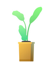 Root in box. Seedling garden plants. Sowing agricultural material. Isolated on white background. Single object icon. Vector