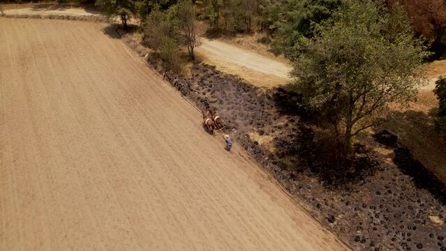 Aerial video of a farmer and his horses preparing the soil for the crops using a traditional old method, the Yunta or yugo. In Tlaxcala Mexico