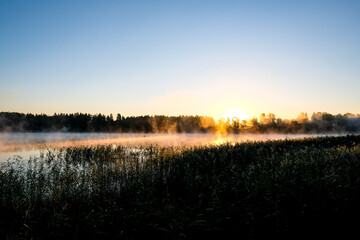 Fototapeta na wymiar Very beautiful sunrise in summer over a foggy lake. Early morning in summer in nature. Defocused