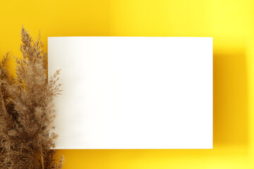 white blank paper page on yellow background and dry pampas grass