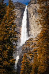 Autumn Yosemite Falls, California