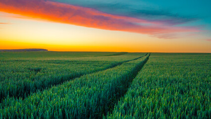 Vast green field at springtime sunset